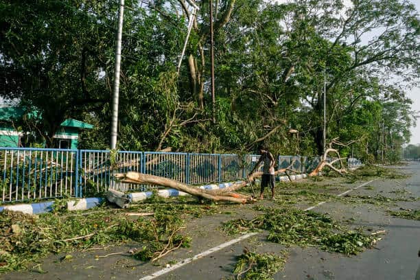 Storm Cleanup