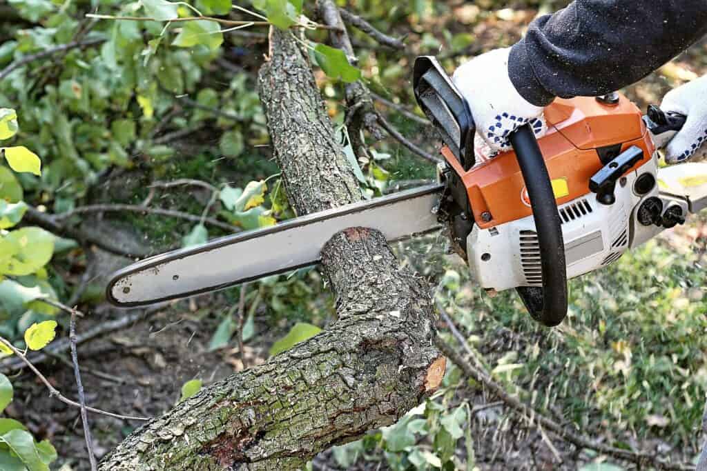 Asheville Tree Service for storm clean up