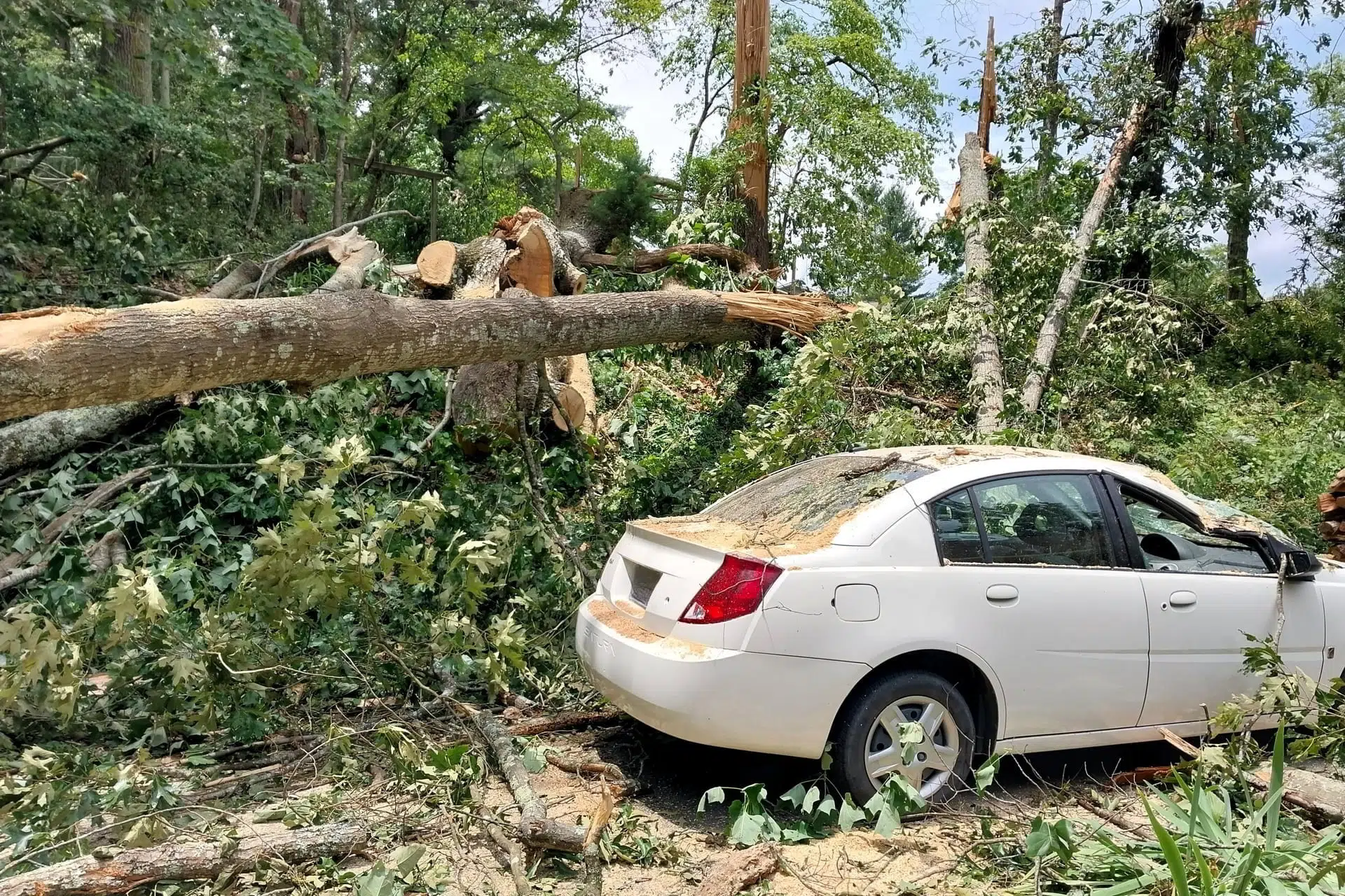 storm cleanup service