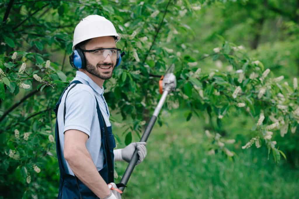 tree service worker trimming a tree