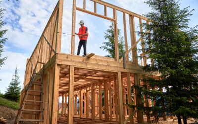 Consult an Arborist Before Building Your Dream Home in Asheville