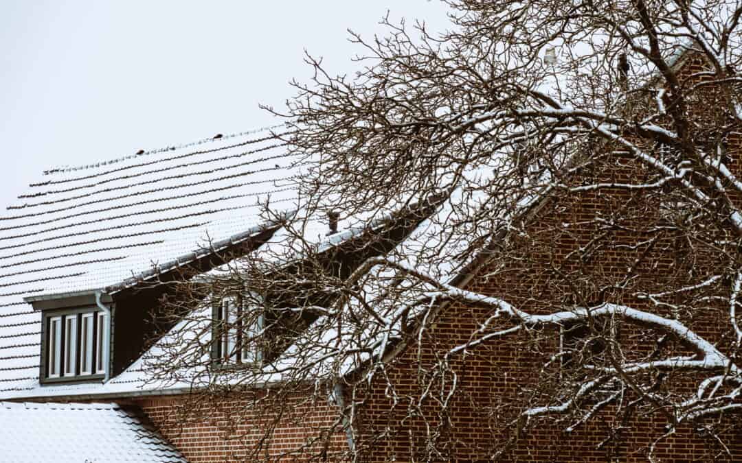 tree service in the Winter