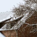 tree service in the Winter