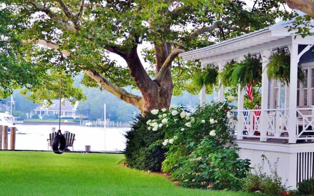 7 Reasons Why Tree Trimming Improves More Than Just Curb Appeal
