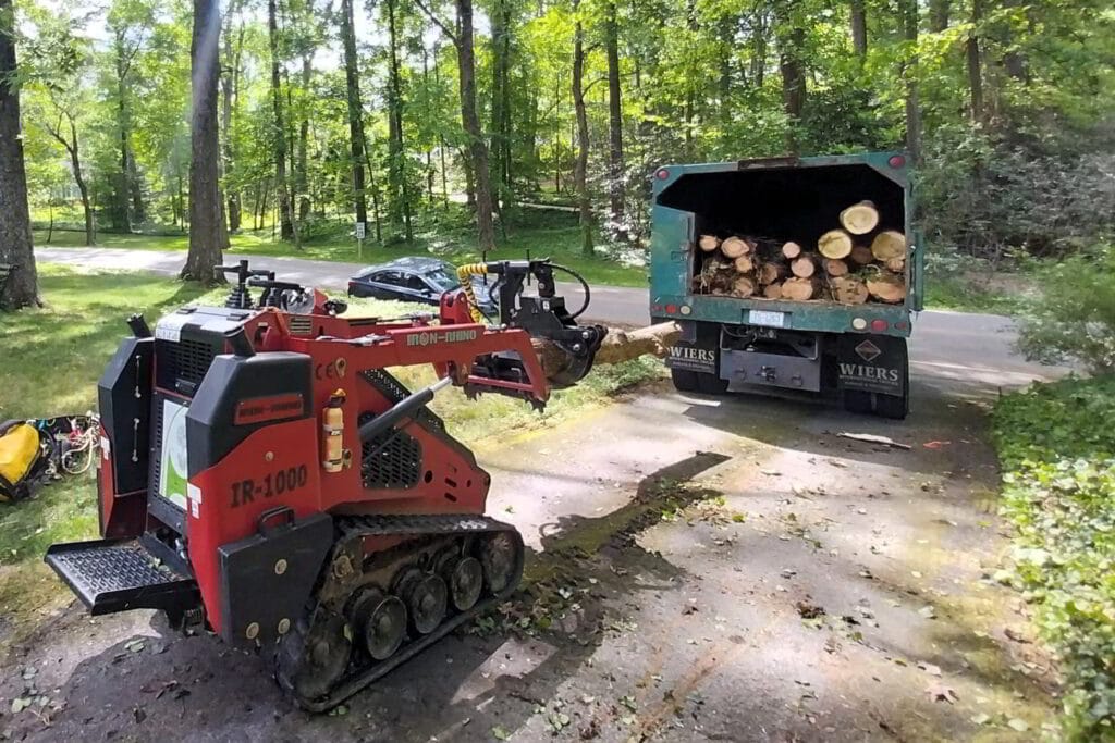 lot clearing tree service